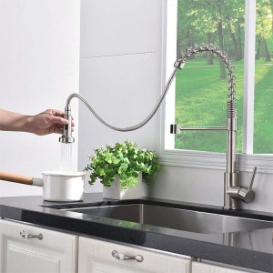 Kitchen faucet with spring stainless steel