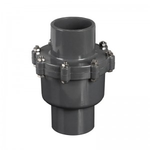 PVC 2inch Check Valve Supply